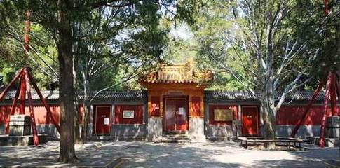 北京市屬公園全面開放，旅行社服務有序恢復